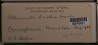 Image Associated With the Occurence